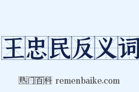 王忠民反义词是什么意思的图片